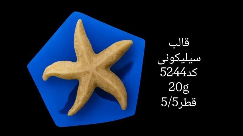 قالب سیلیکونی دریایی کد ۵۲۴۴/۰۴۹