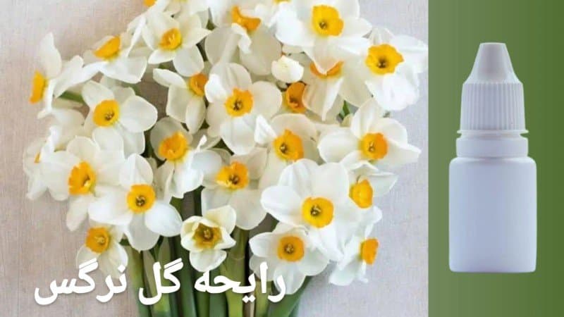 اسانس فرانسوی شمع