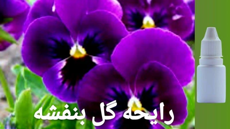 اسانس فرانسوی شمع