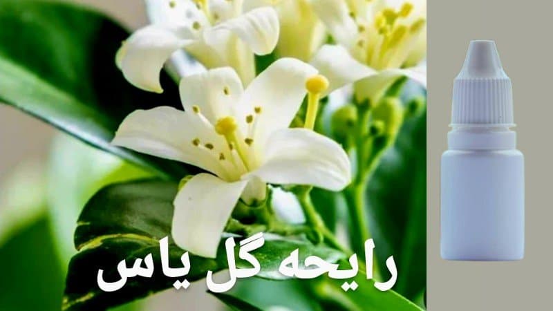 اسانس فرانسوی شمع