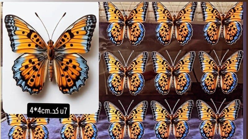 ریبون پروانه کد U7